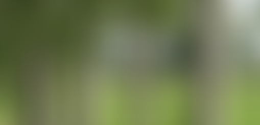 KAVAK AĞACI, KAVAK KONTRPLAK VE AVANTAJLARI