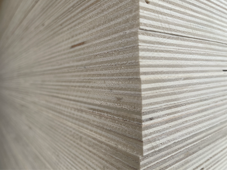 KAVAK KONTRPLAK HAKKINDA HERŞEY