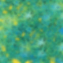 Meadow