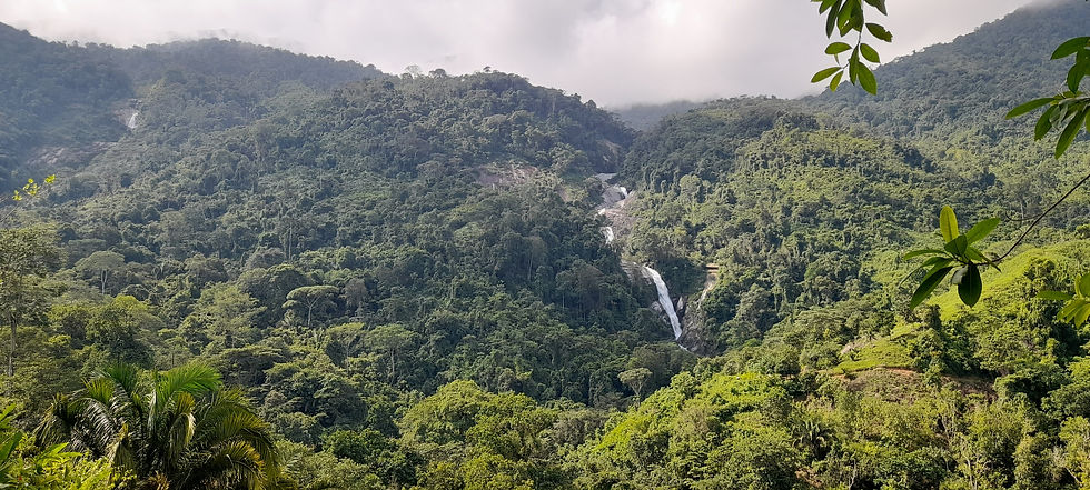 Miniatura: CASCADA DE SAN SALVADOR
