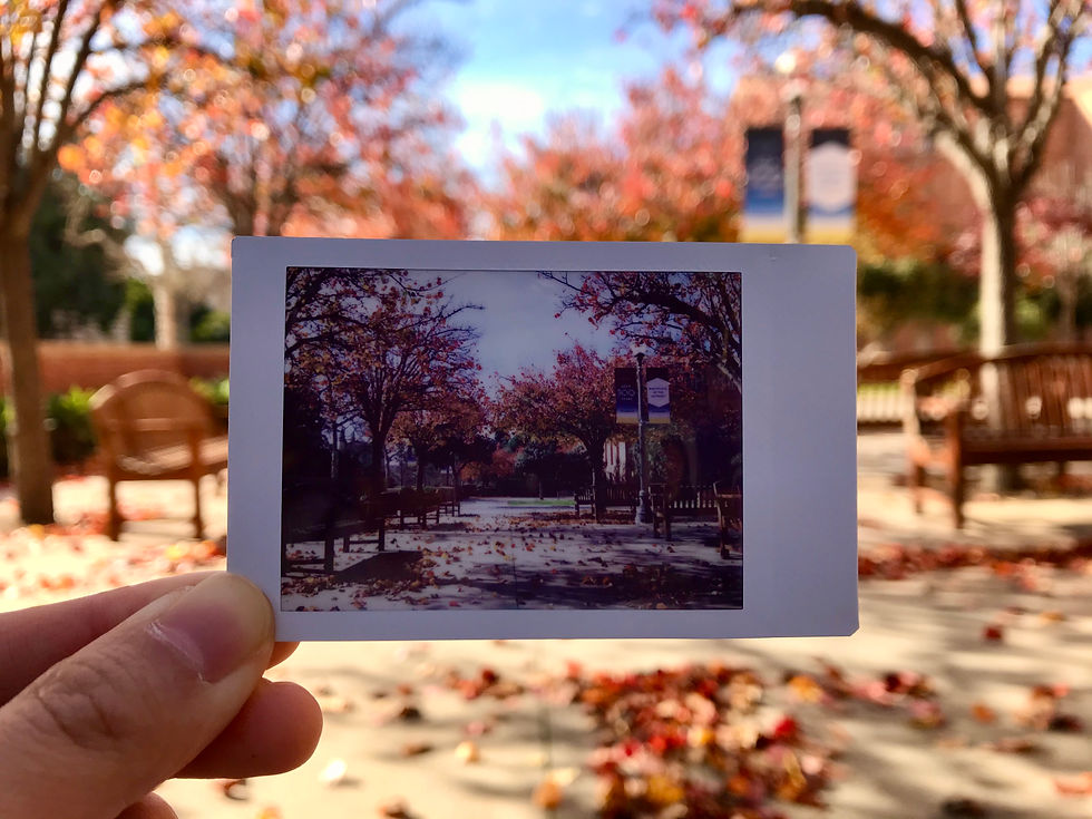 UCLA Winter 2020