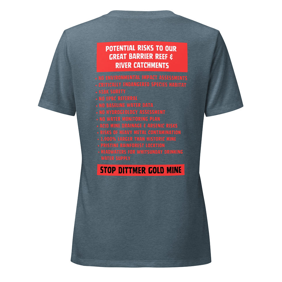 Thumbnail: Save Dittmer (Shirt Style 02) - Women’s relaxed v-neck t-shirt