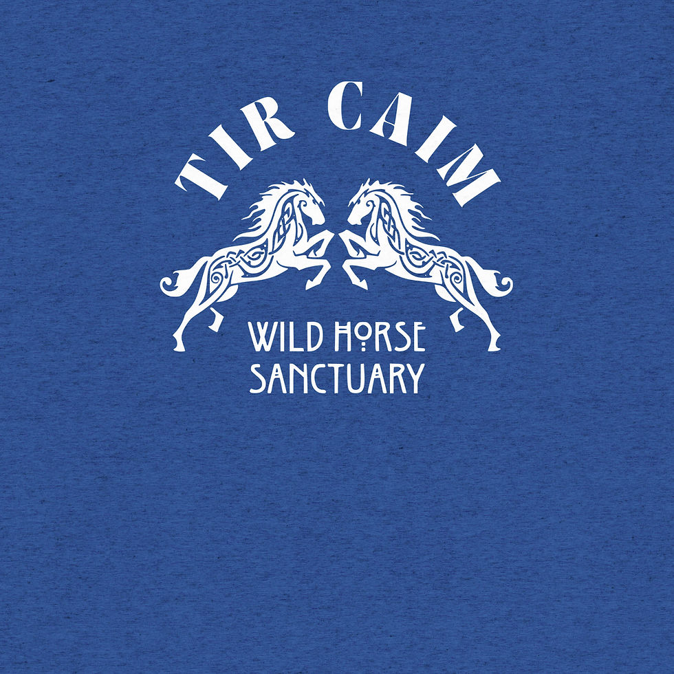 Thumbnail: TIR CAIM WHITE ON BLACK - SHORT SLEEVE UNISEX TSHIRT