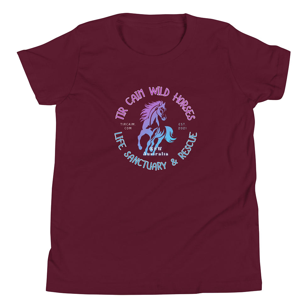 Thumbnail: Tir Caim Life Sanctuary - Youth Short Sleeve T-Shirt