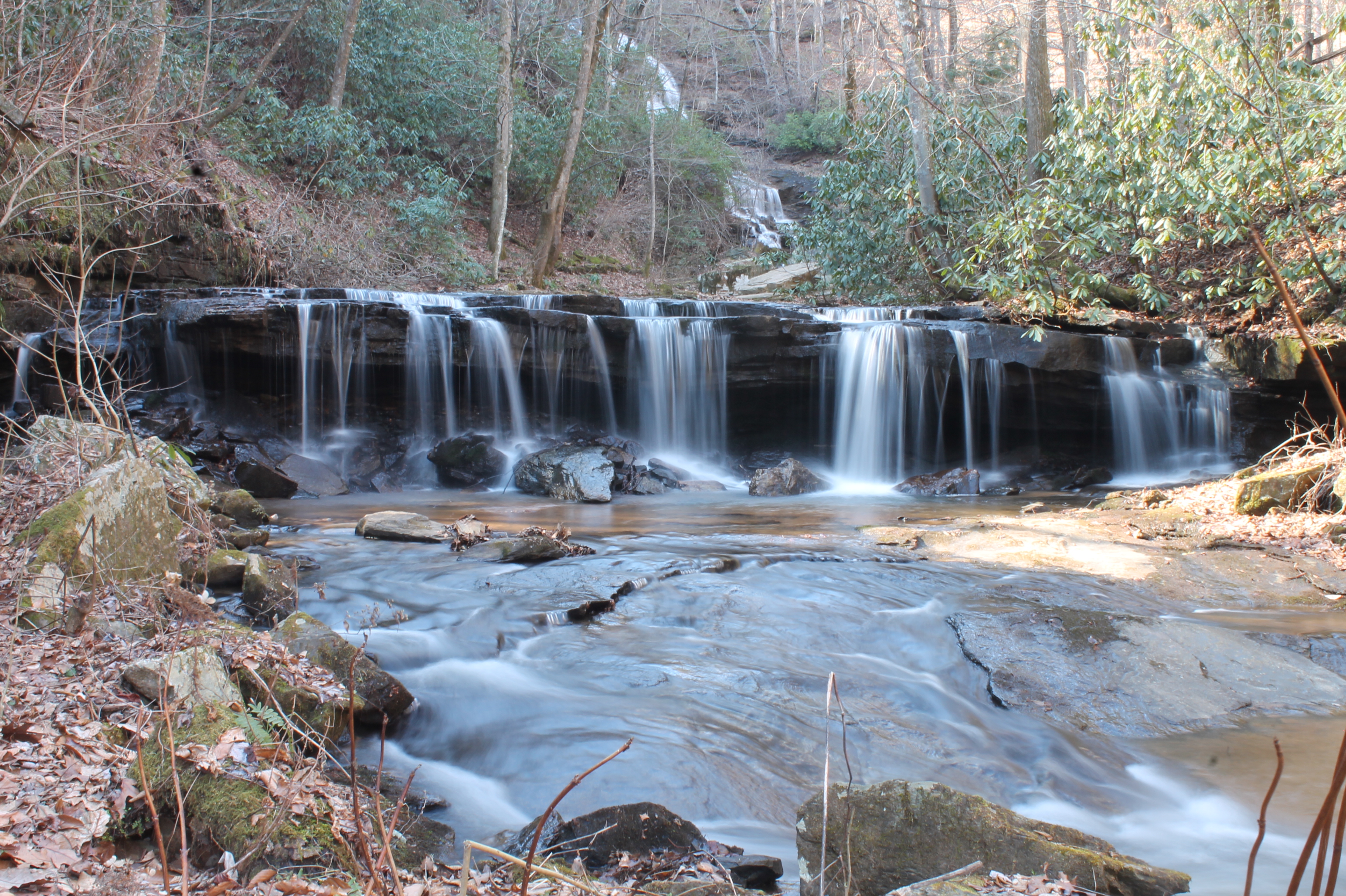 Pearson's Falls polktrails