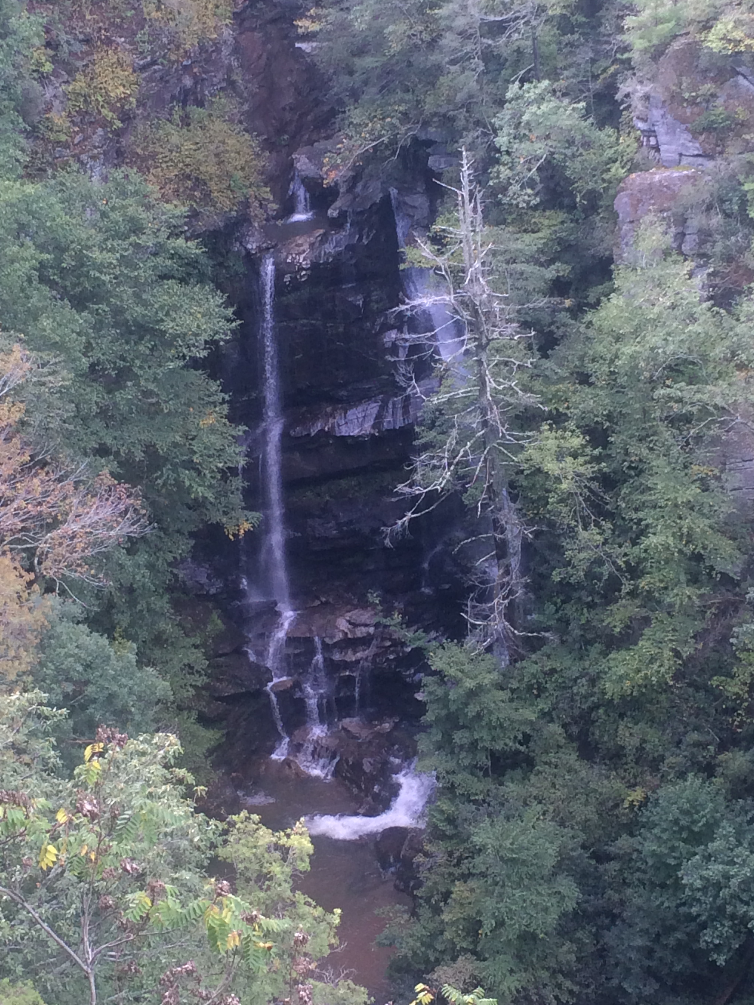 Big Bradley Falls | polktrails