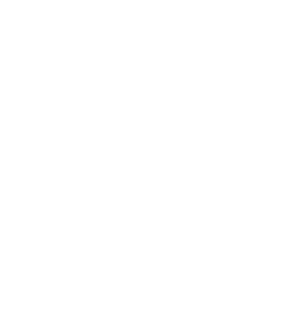 NFPALogo.png