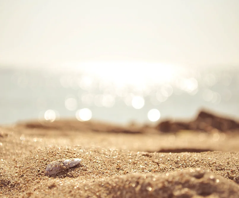 Sandy Beach.webp