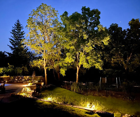 Apex Outdoor Systems, London Landscape Lighting