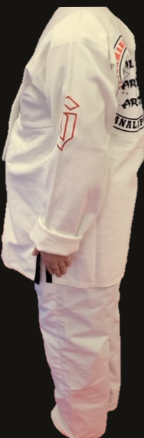 Thumbnail: Jiu Jitsu Belt and Gi
