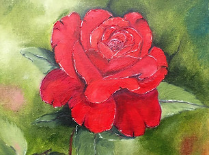 2018_red rose.jpg