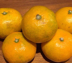 Tangerine みかん