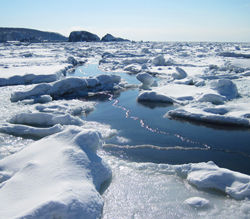 Drift Ice 流氷