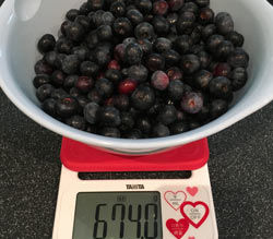 Blueberry 2 ブルーベリー2