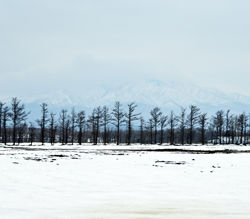 Hokkaido 2 北海道 2