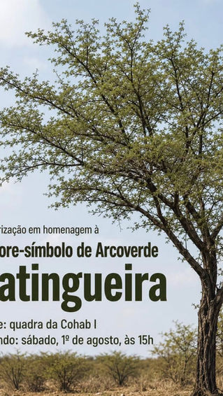 Arcoverde recebe ação de arborização em homenagem à catingueira neste sábado (1º)