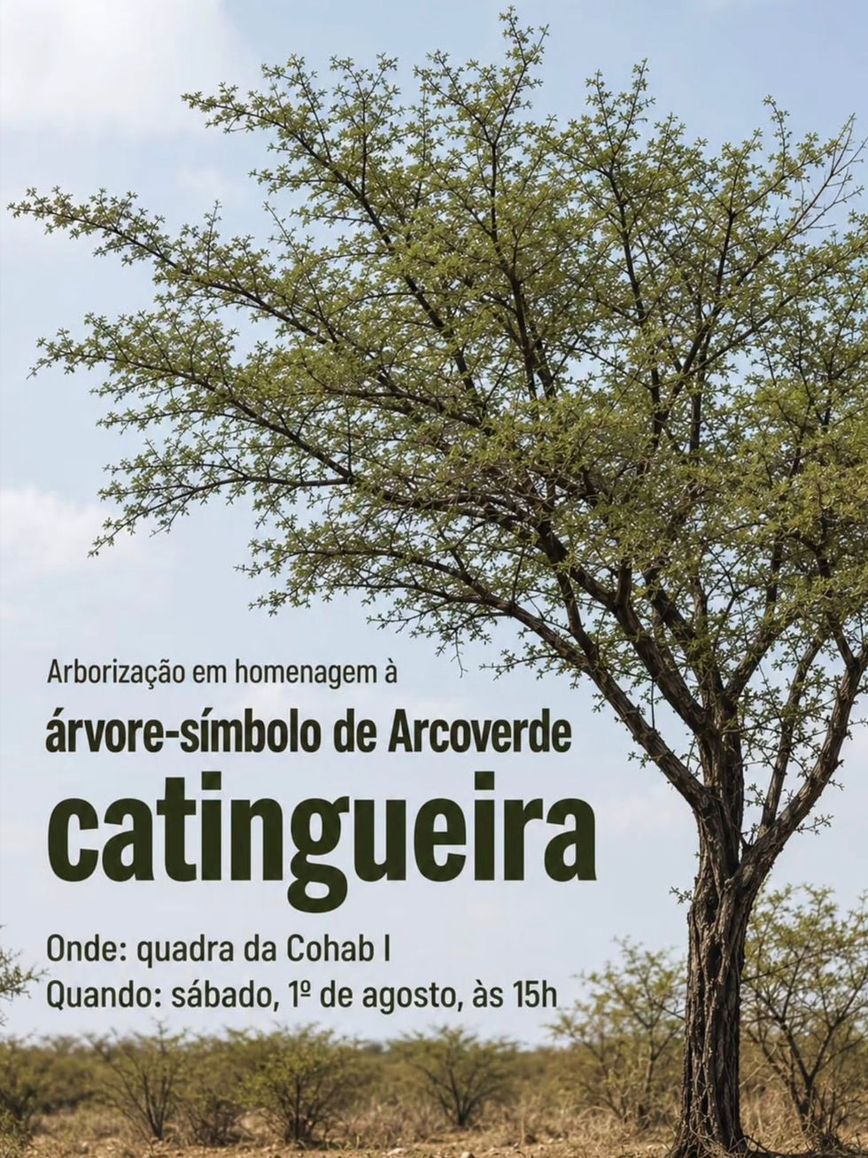 Arcoverde recebe ação de arborização em homenagem à catingueira neste sábado (1º)