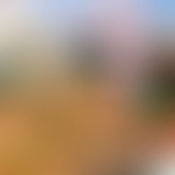 O Brasil por dentro: a marca de Manoel Carlos nas novelas e na memória