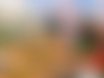 O Brasil por dentro: a marca de Manoel Carlos nas novelas e na memória