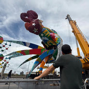 Após 11 dias “reinando” no Recife, galo gigante se despede; próximo reinado será no início de fevereiro de 2027