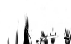 Photographie alternative
2019
Mathilde Perret