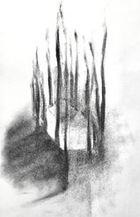 Fusain
2022
Mathilde Perret