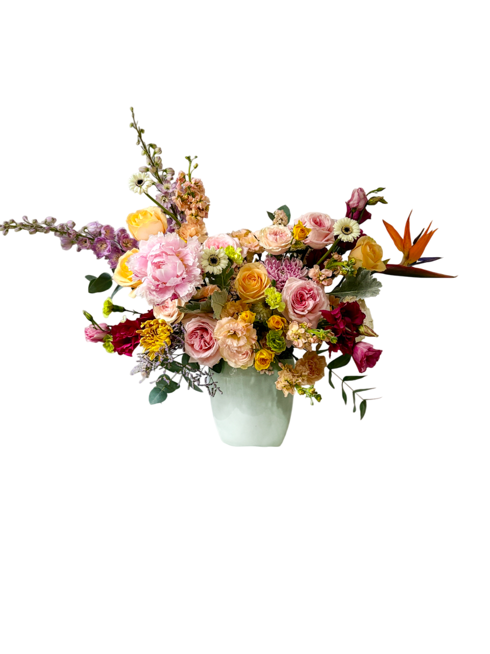 foto 11-06-25 5 34 08 pm-Photoroom