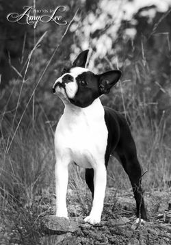 10151200_749354385082762_1940946512_n