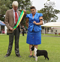 10858620_10153115695762722_7869378877892019678_n