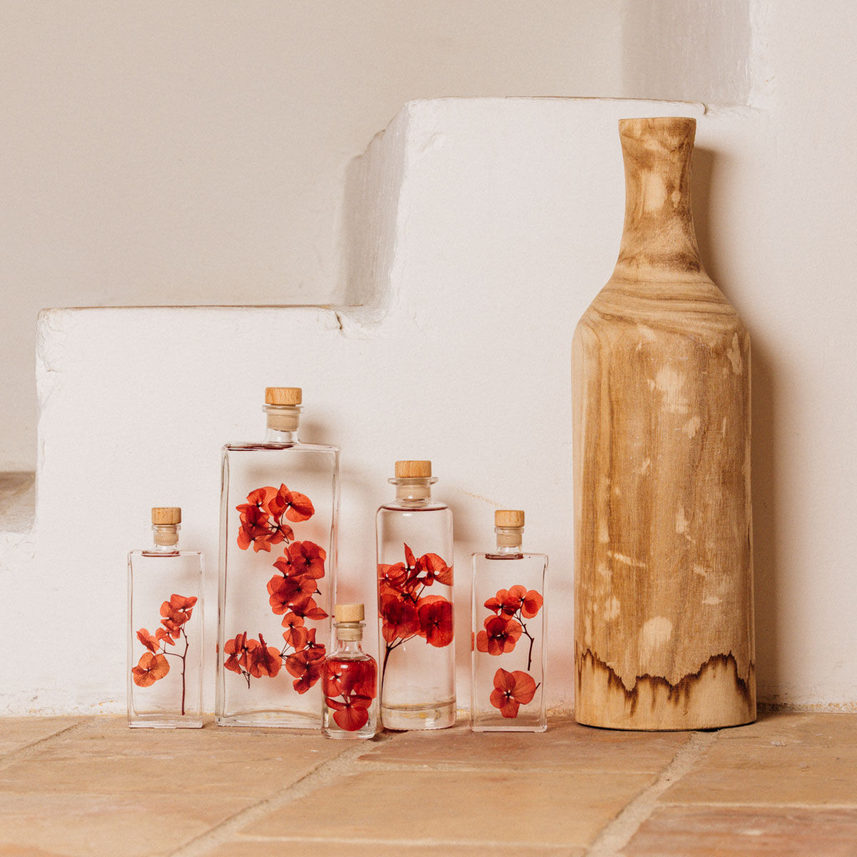 Hortensia rouge passion - Plante immergée