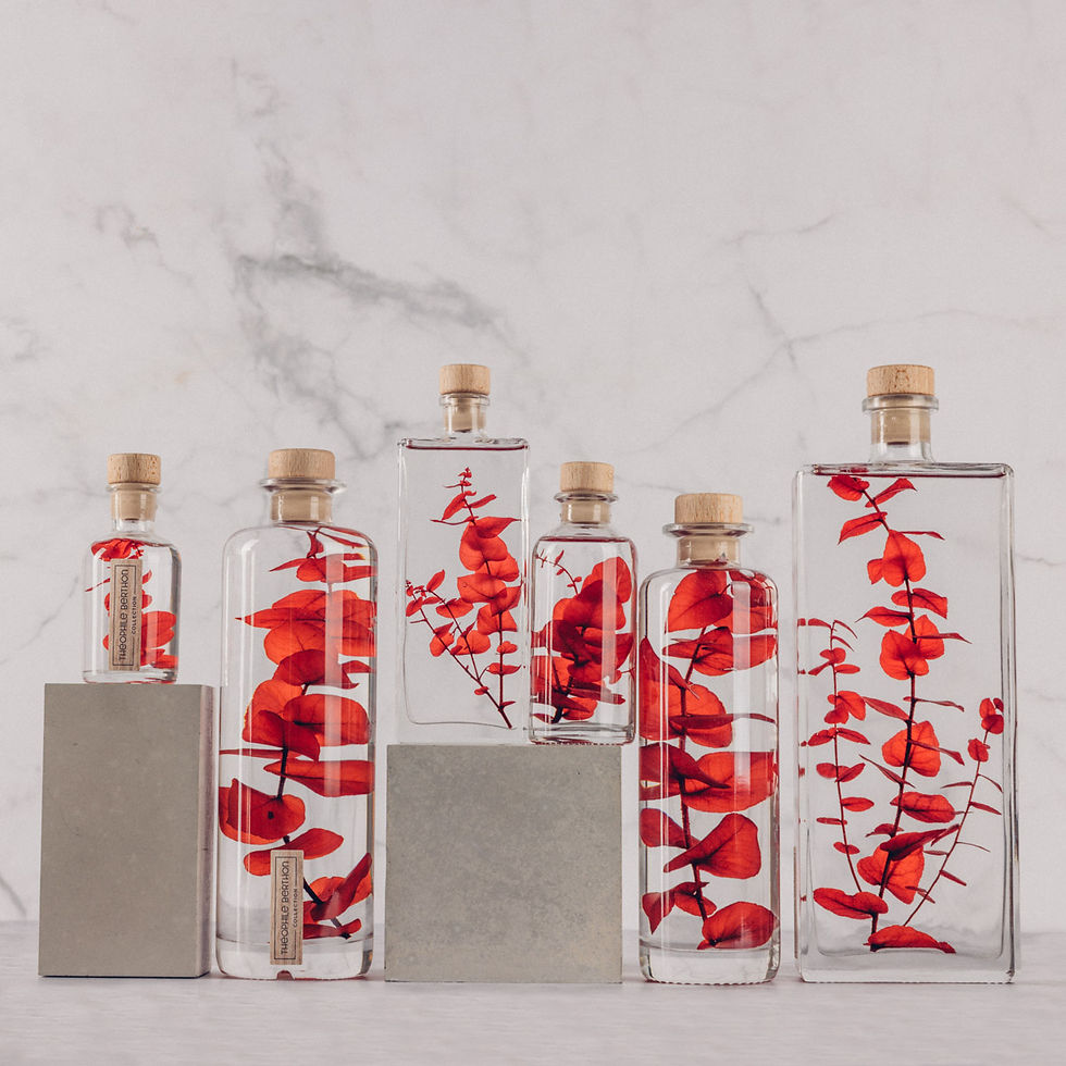 Eucalyptus stuartiana rouge - Plante immergée