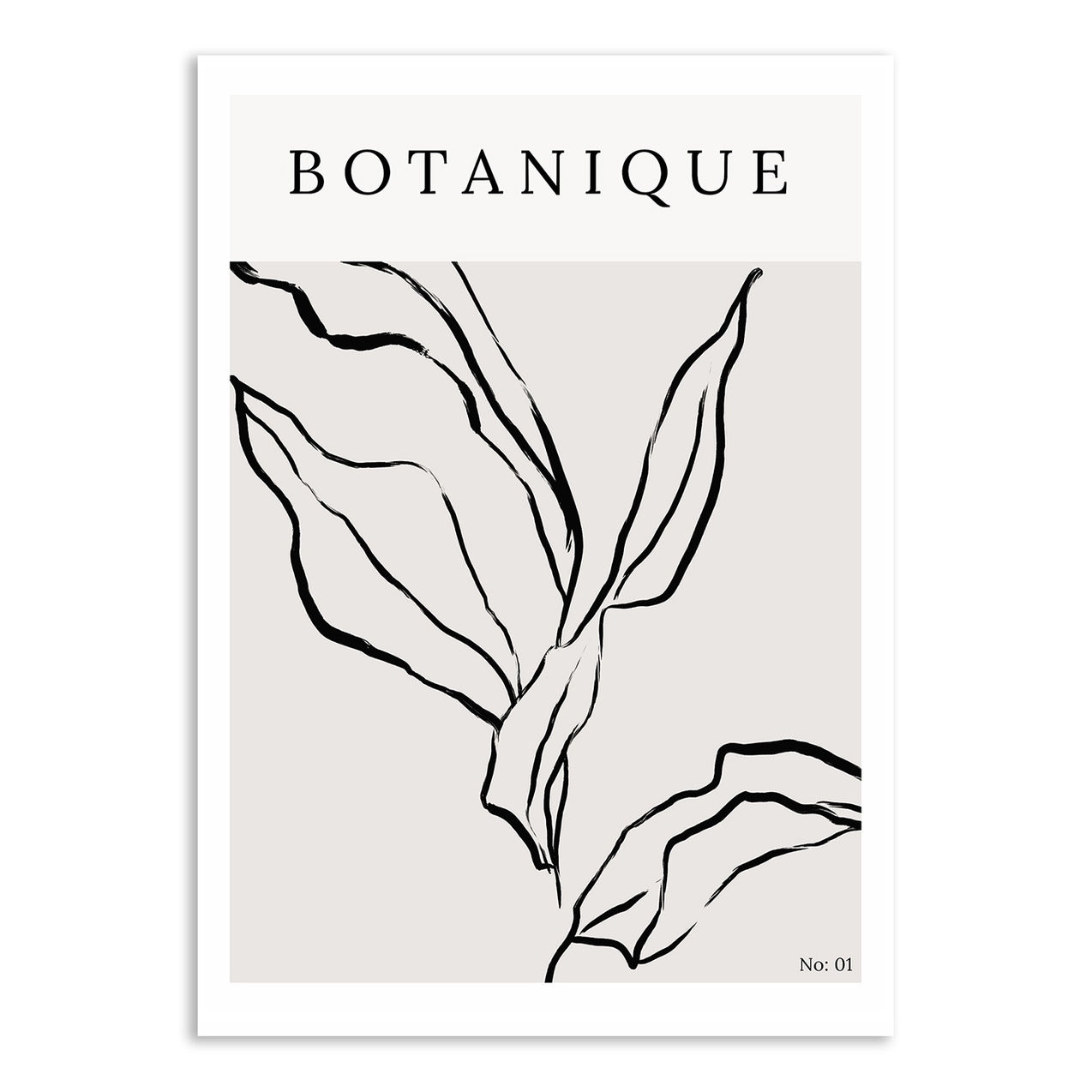 Carte postale - Botanique n°1