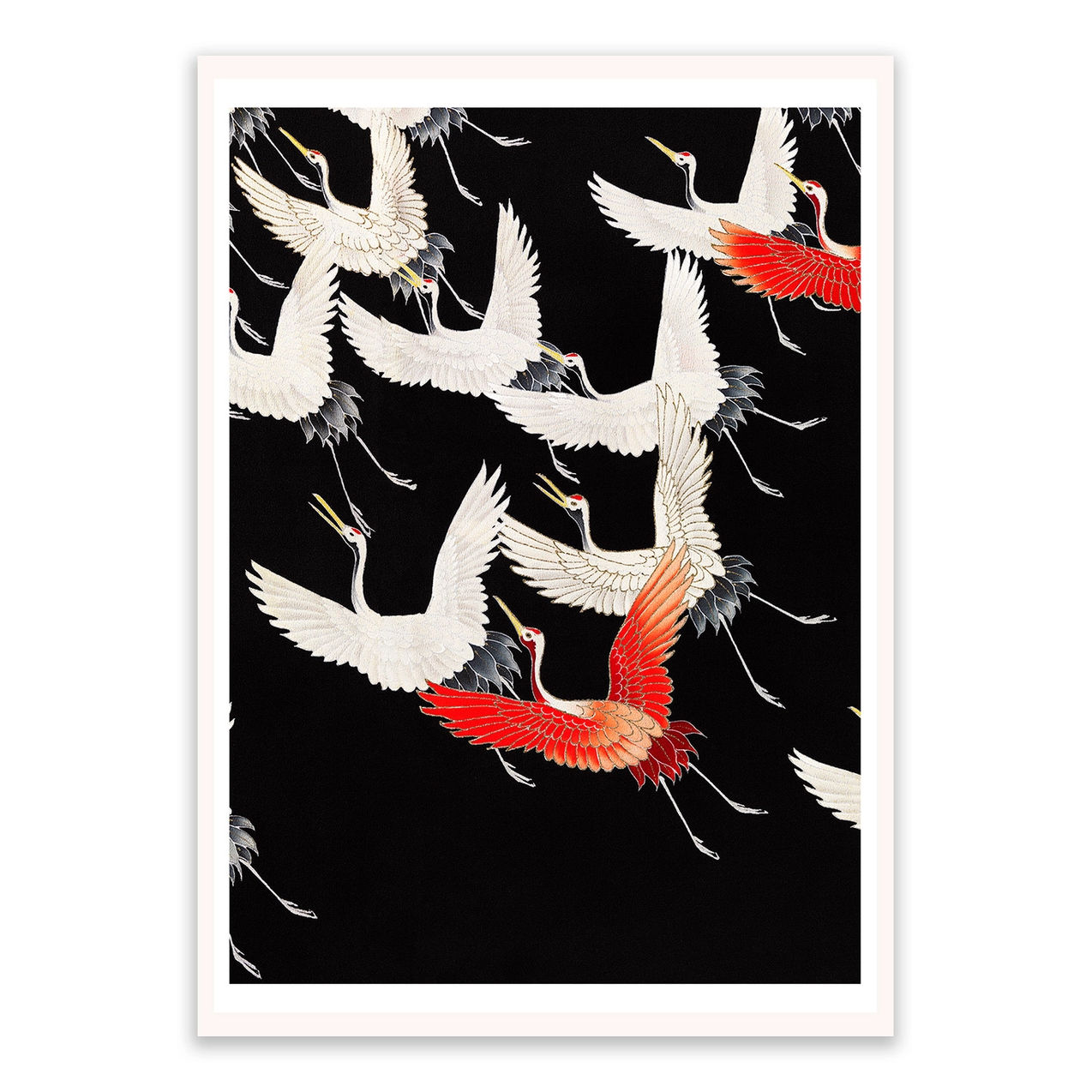 Carte postale - Grues volantes