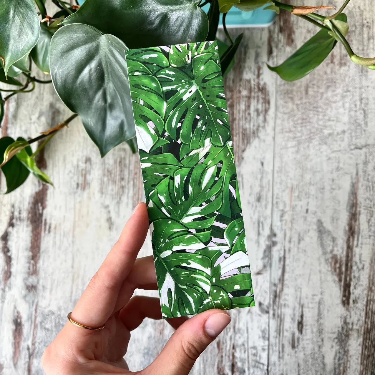 Marque-pages - Monstera Variegata