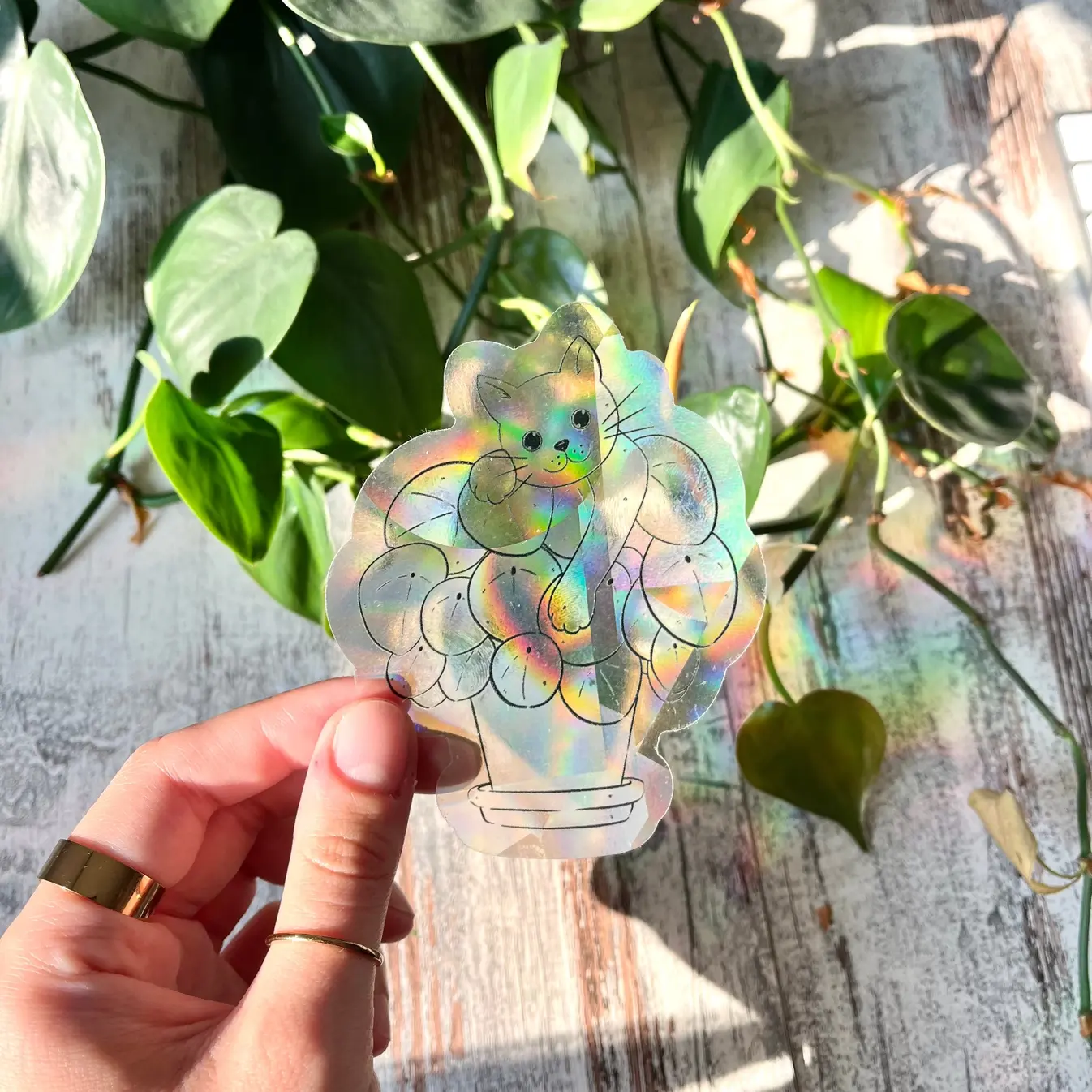 Suncatcher - Chat & Pilea