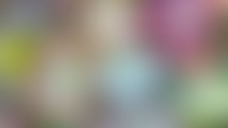 Plantes succulentes : Guide complet pour entretenir vos plantes grasses