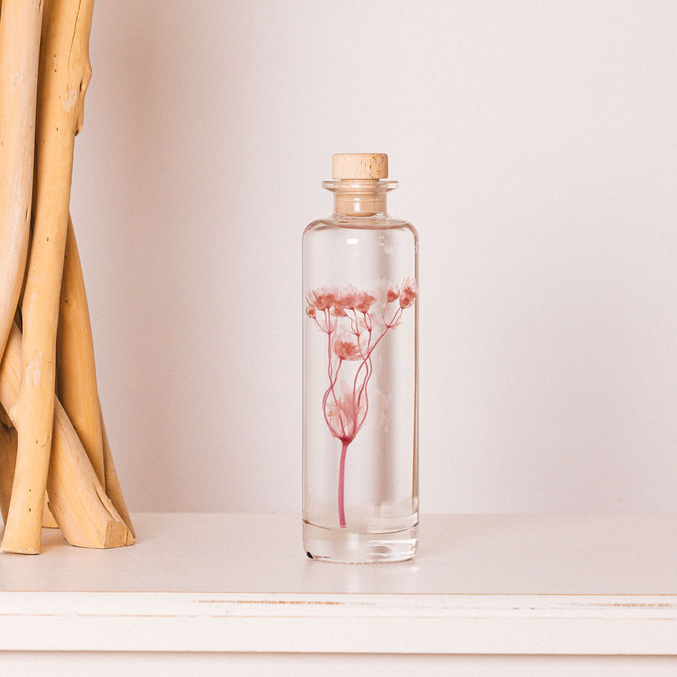 Miniature : Astrance rose Plante immergée