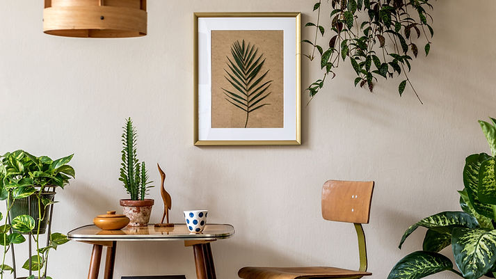 Intérieur rétro plantes