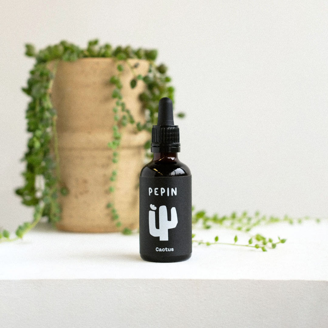 Engrais naturel Cactus - Pepin