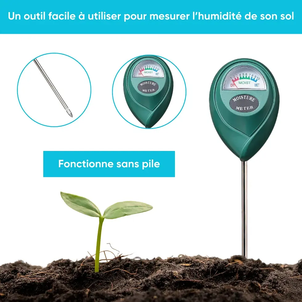 Miniature : Testeur d'humidité Sonde à terreau