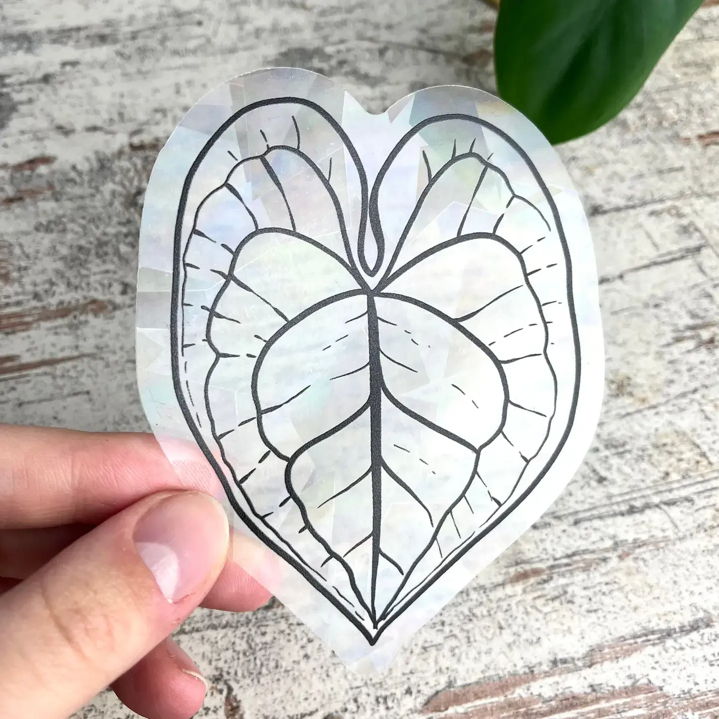 Suncatcher - Anthurium