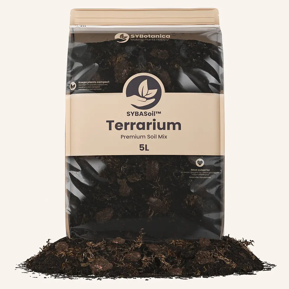 Terrarium mix Sybotanica