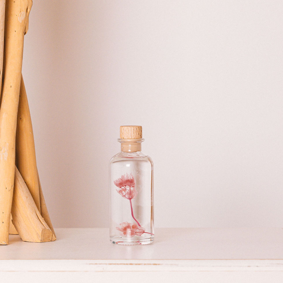 Miniature : Astrance rose Plante immergée
