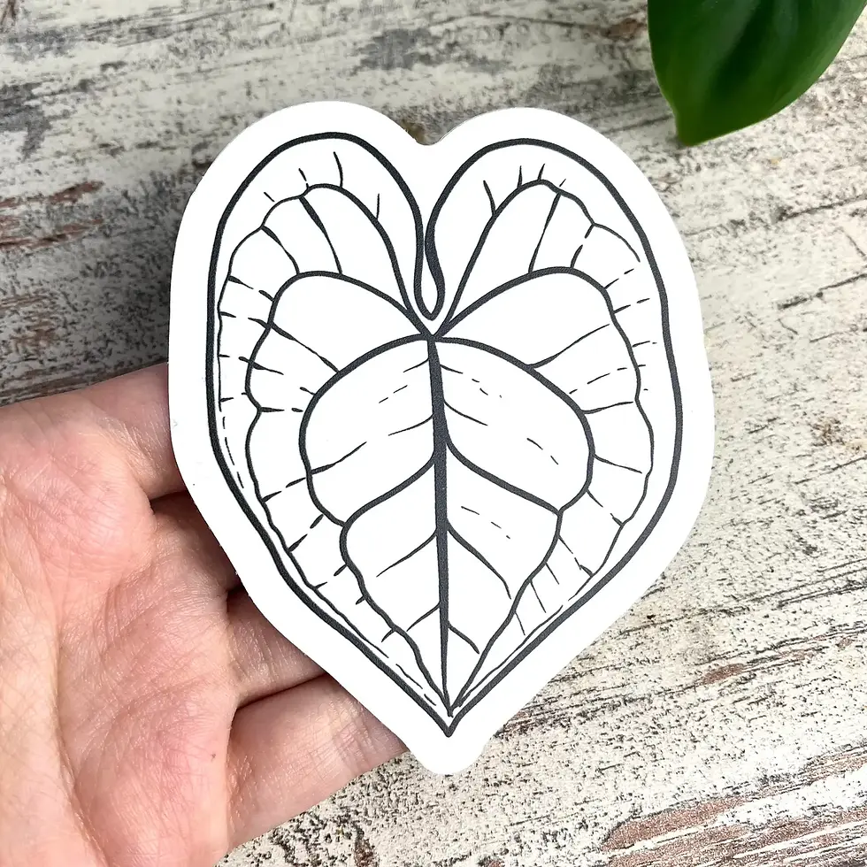 Suncatcher - Anthurium