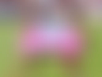 【アロマリキッド】ONA SAPO Stadium 欲情ゲーム完全サポ