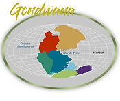 Gondwana.jpg