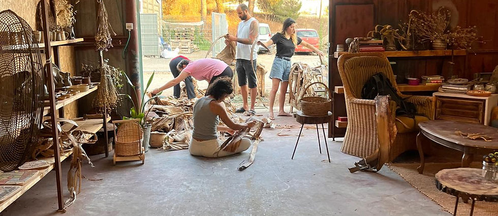 תמונה של WhatsApp‏ 2025-11-17 בשעה 14.31.50_5a8cd184.jpg