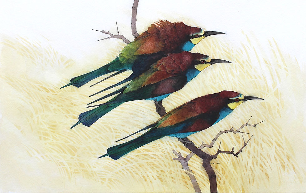 Thumbnail: A - Z of Animals - TWO SOLD