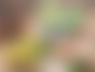 حقيبة الإسعافات الأولية