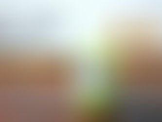 広尾のオススメショップ:Trueberry